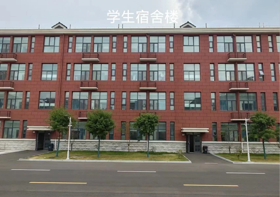 2020年篮球训练总结与反思作文_1